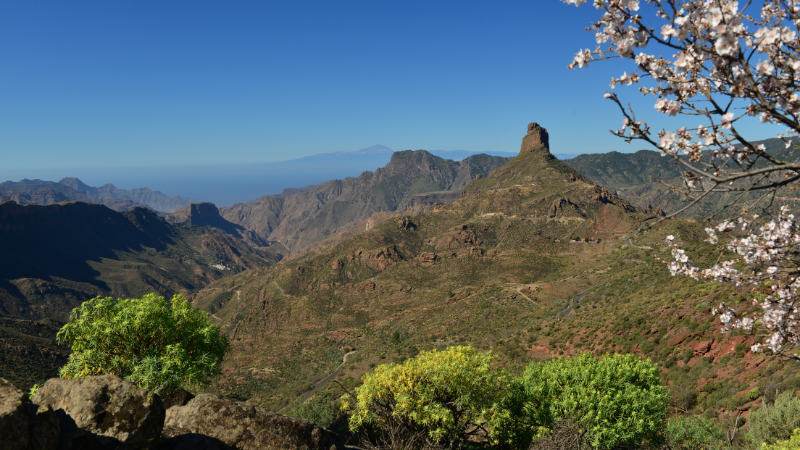 Vandretur på Gran Canaria